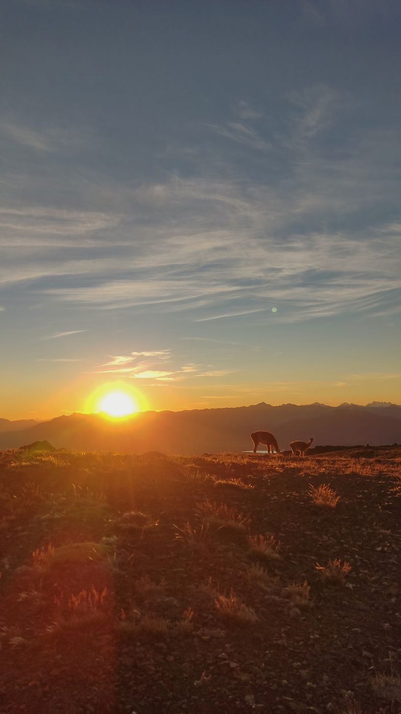 Atardecer en la estepa