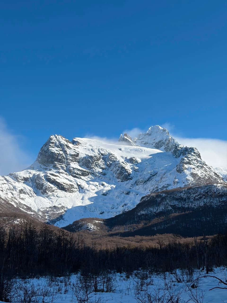 Cerro nevado sobre el bosque